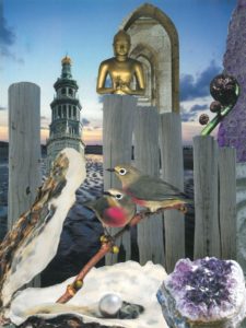 Zeeuwse Bodem