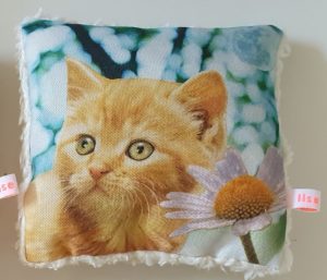 KrachtDierKussentje Kat