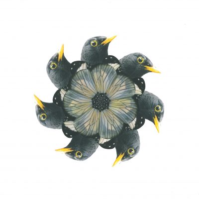 Merelbloem