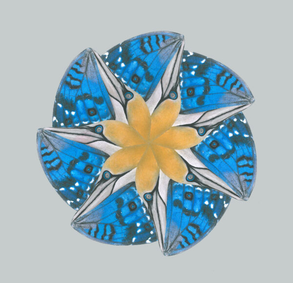 Meditatiekussen Gentlefly 2