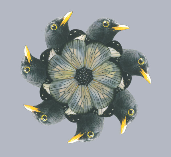 Meditatiekussen Merelbloem
