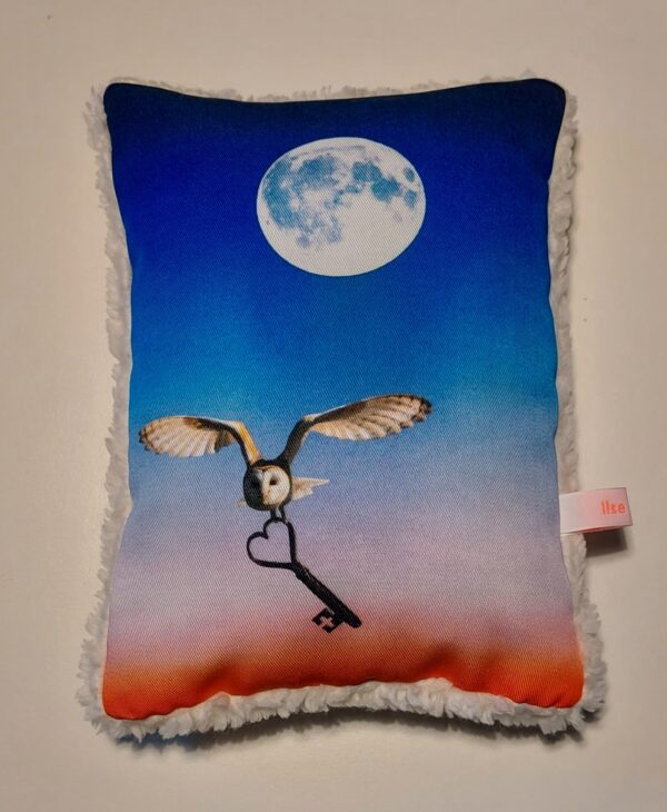 KrachtDierKussentje Uil (Soulkey) KrachtDierKussentje Uil (Soulkey)